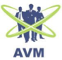THEAVMCONSULT